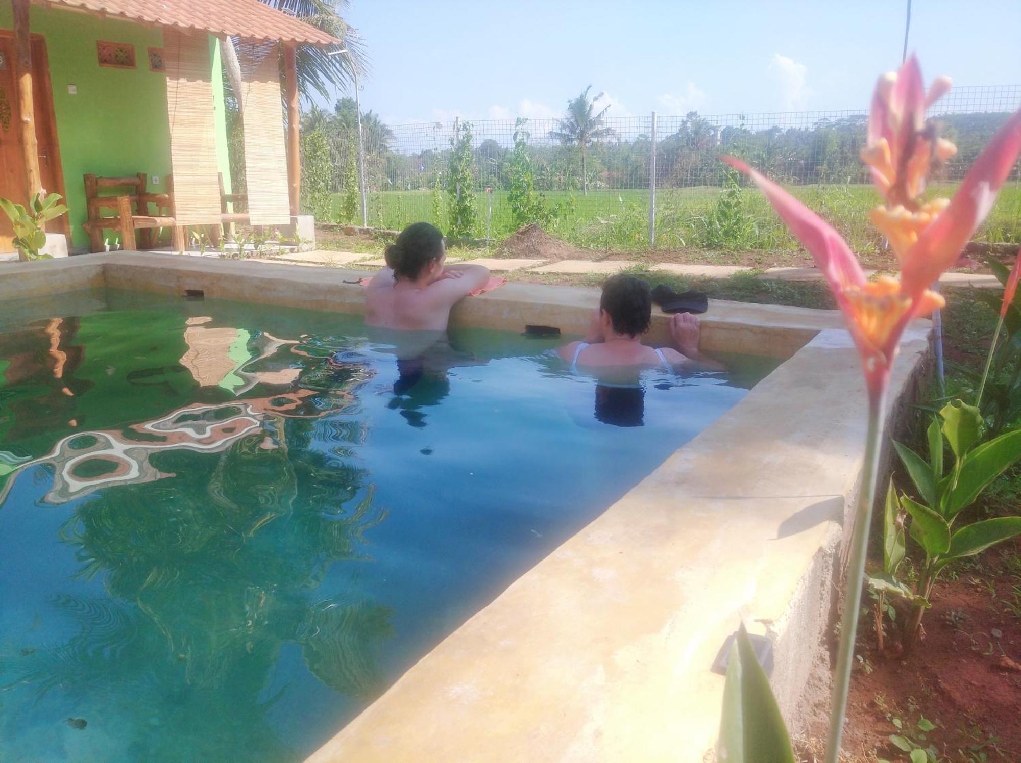 Wooden Kemiren Homestay Banyuwangi Баньюванги Экстерьер фото