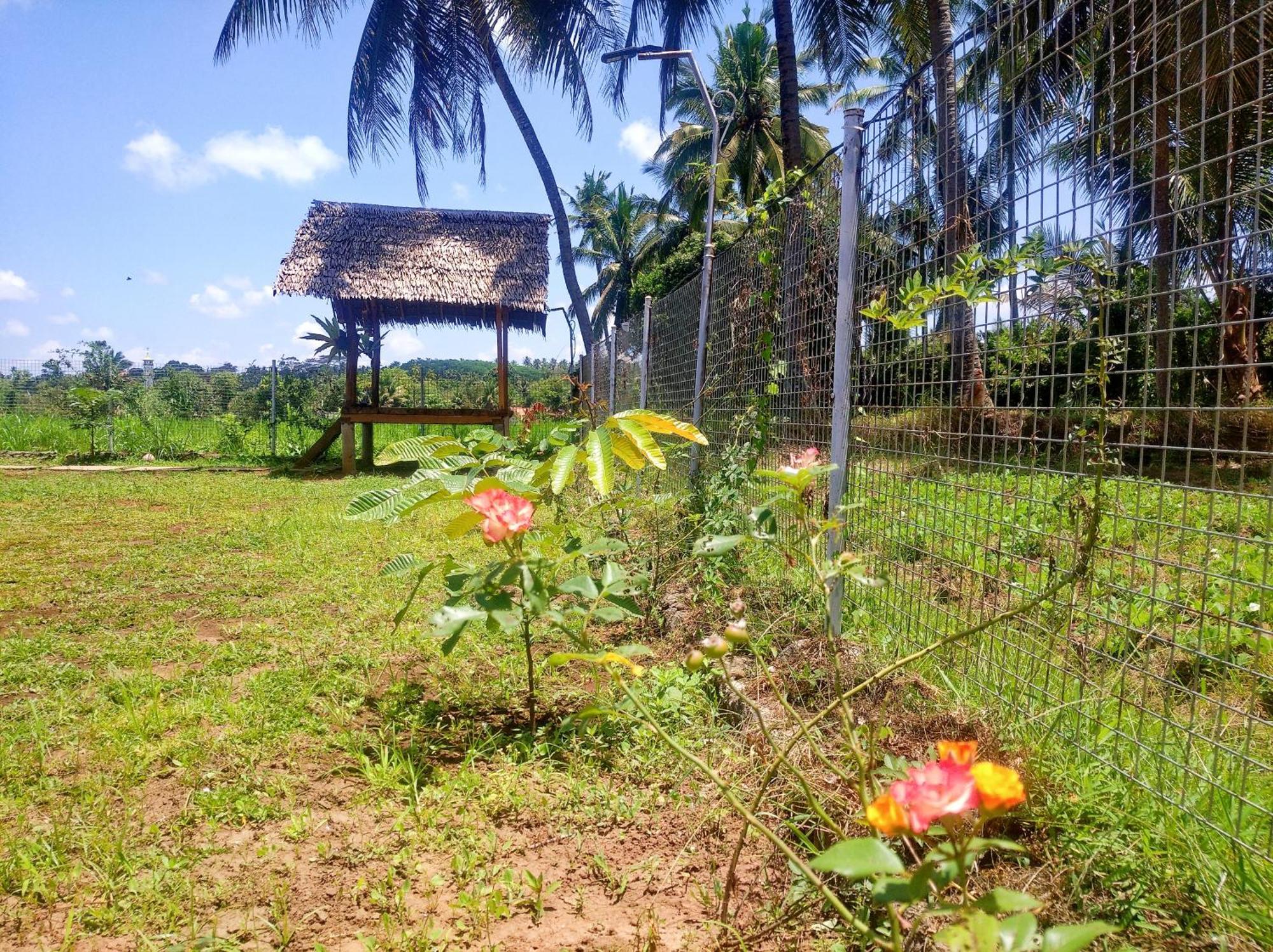 Wooden Kemiren Homestay Banyuwangi Баньюванги Экстерьер фото