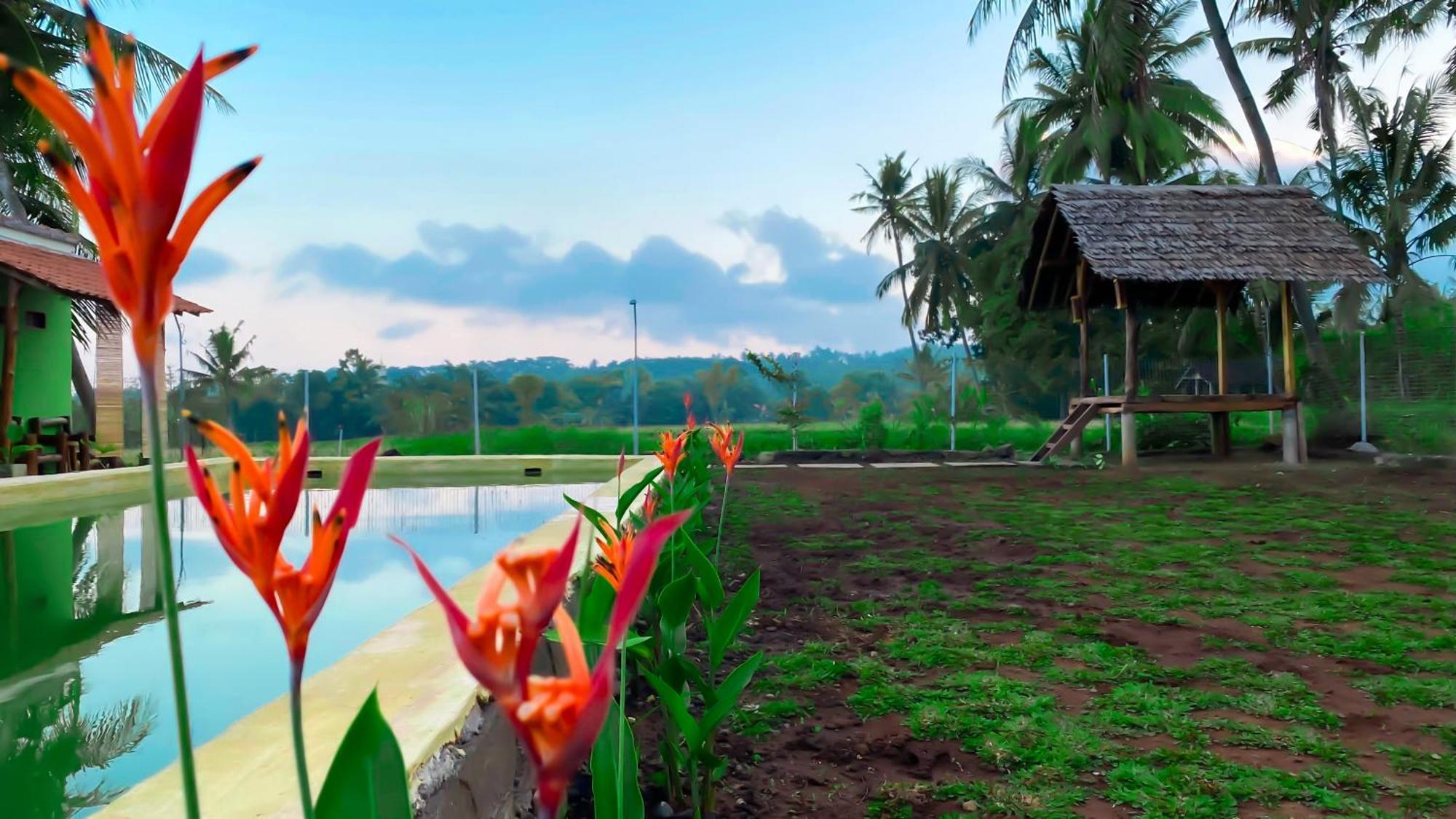 Wooden Kemiren Homestay Banyuwangi Баньюванги Экстерьер фото